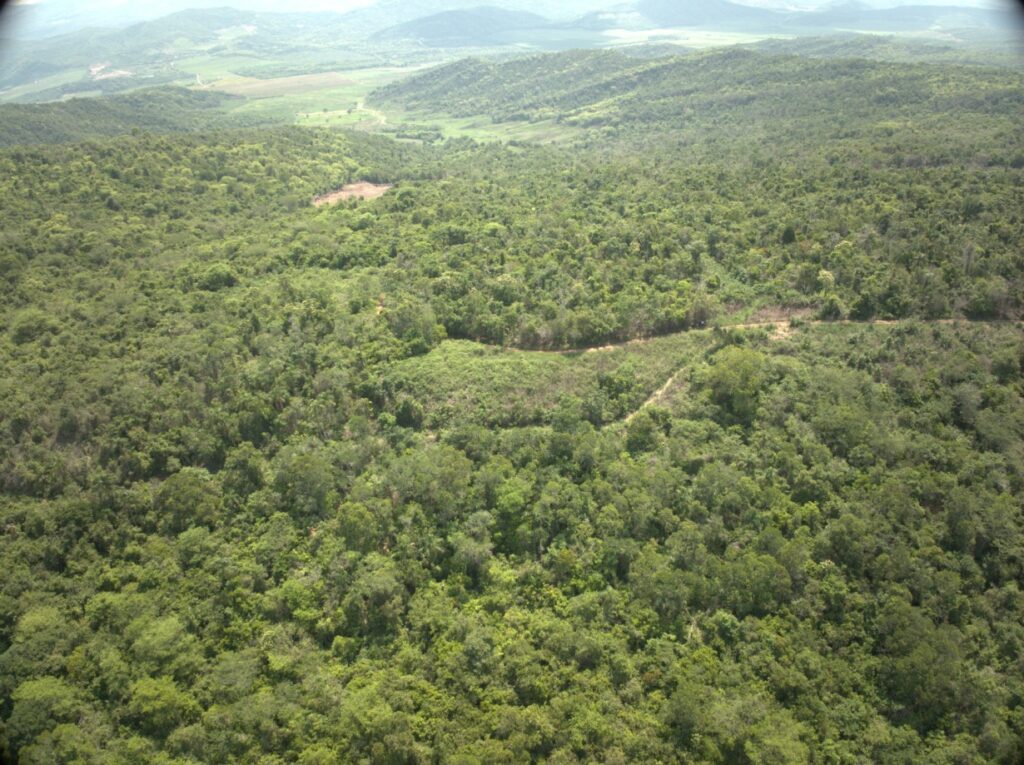 Senderos Verdes
